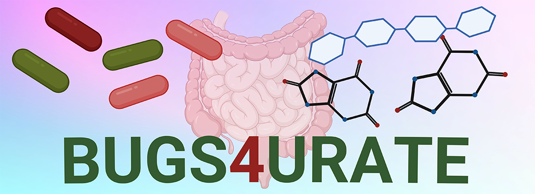 Bugs4Urate banner